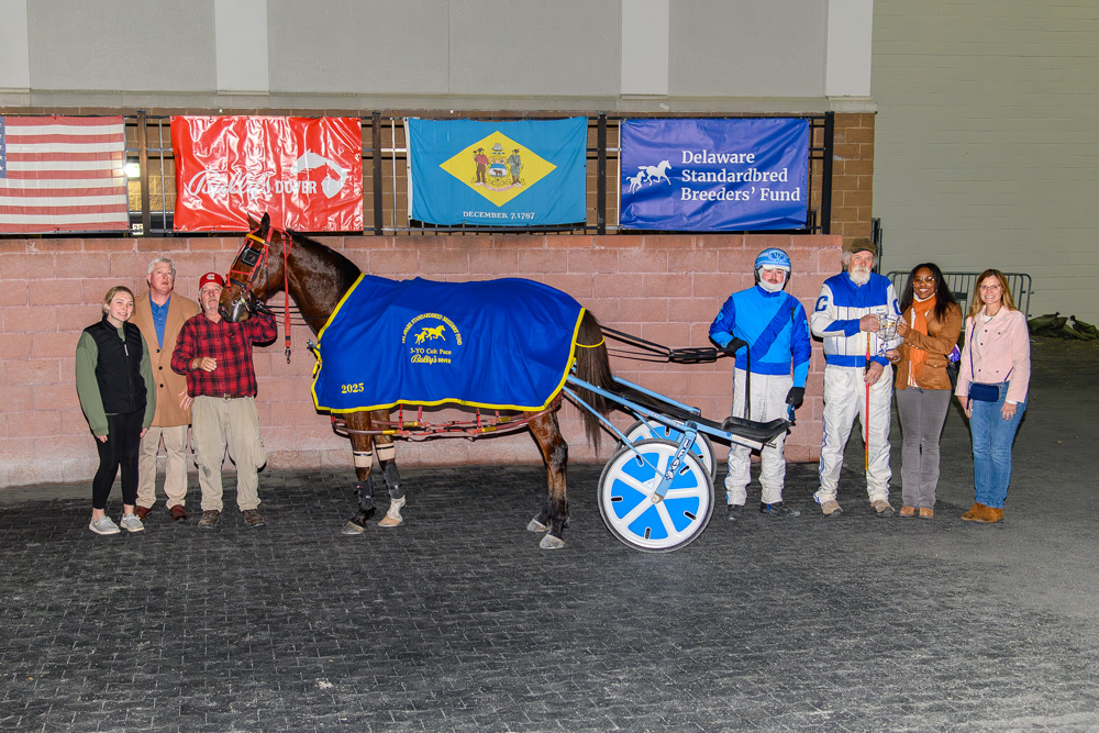 Primo Maschio won the $110,000 DSBF series championship for sophomore male pacers Thursday at Bally's Dover.