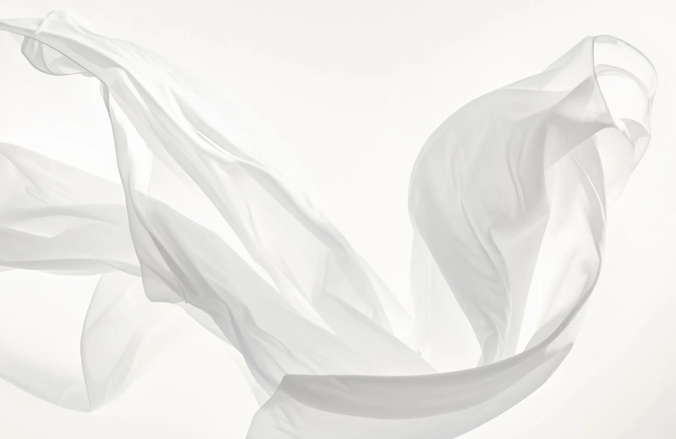 Cloud Dancer, Color of the Year 2026