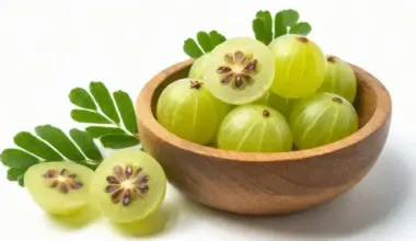 Patanjali research unveils hidden power of amla seeds, changes decades of ayurveda thinking