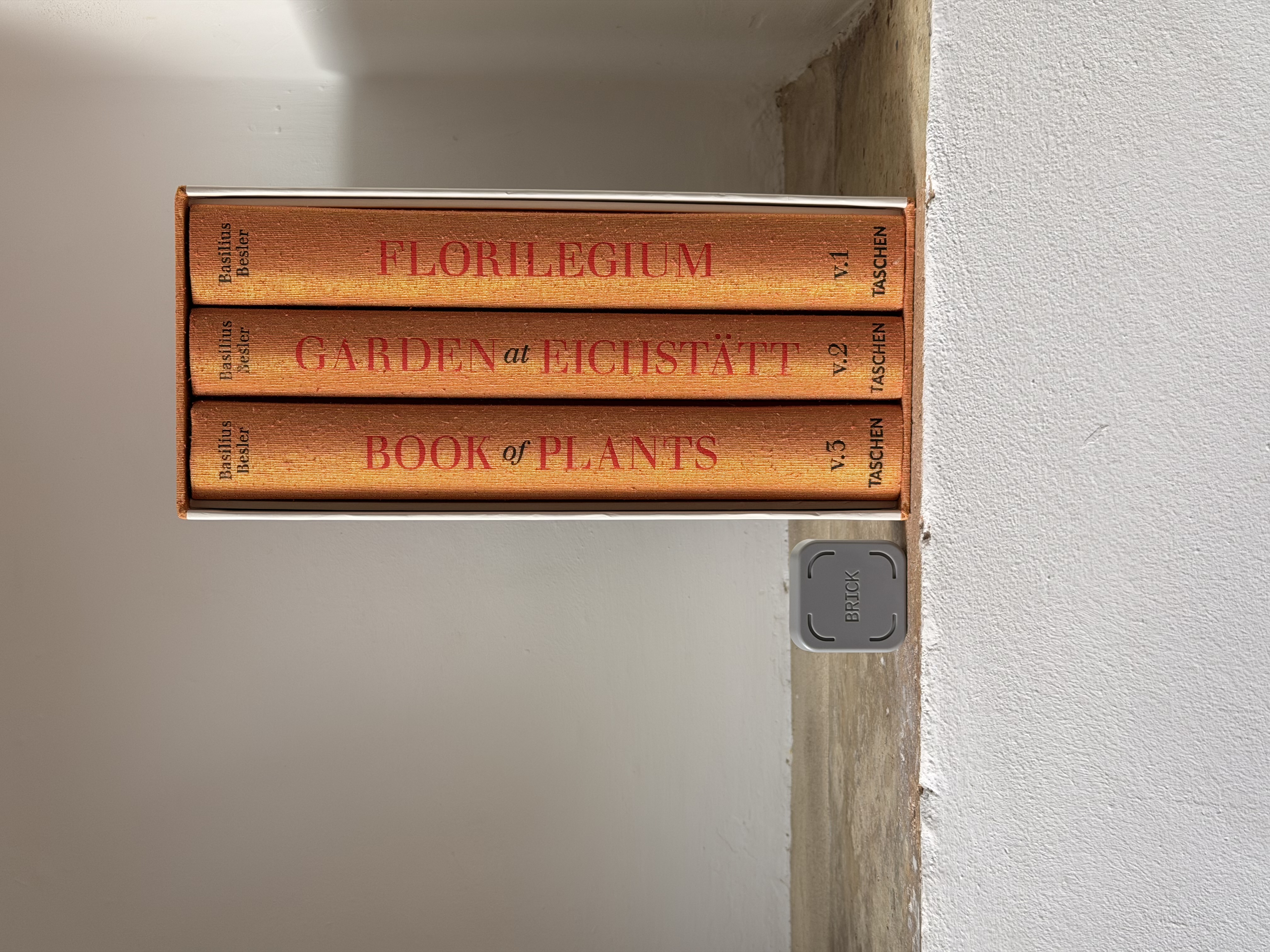 A set of books and a small screen time blocking device sitting on a shelf