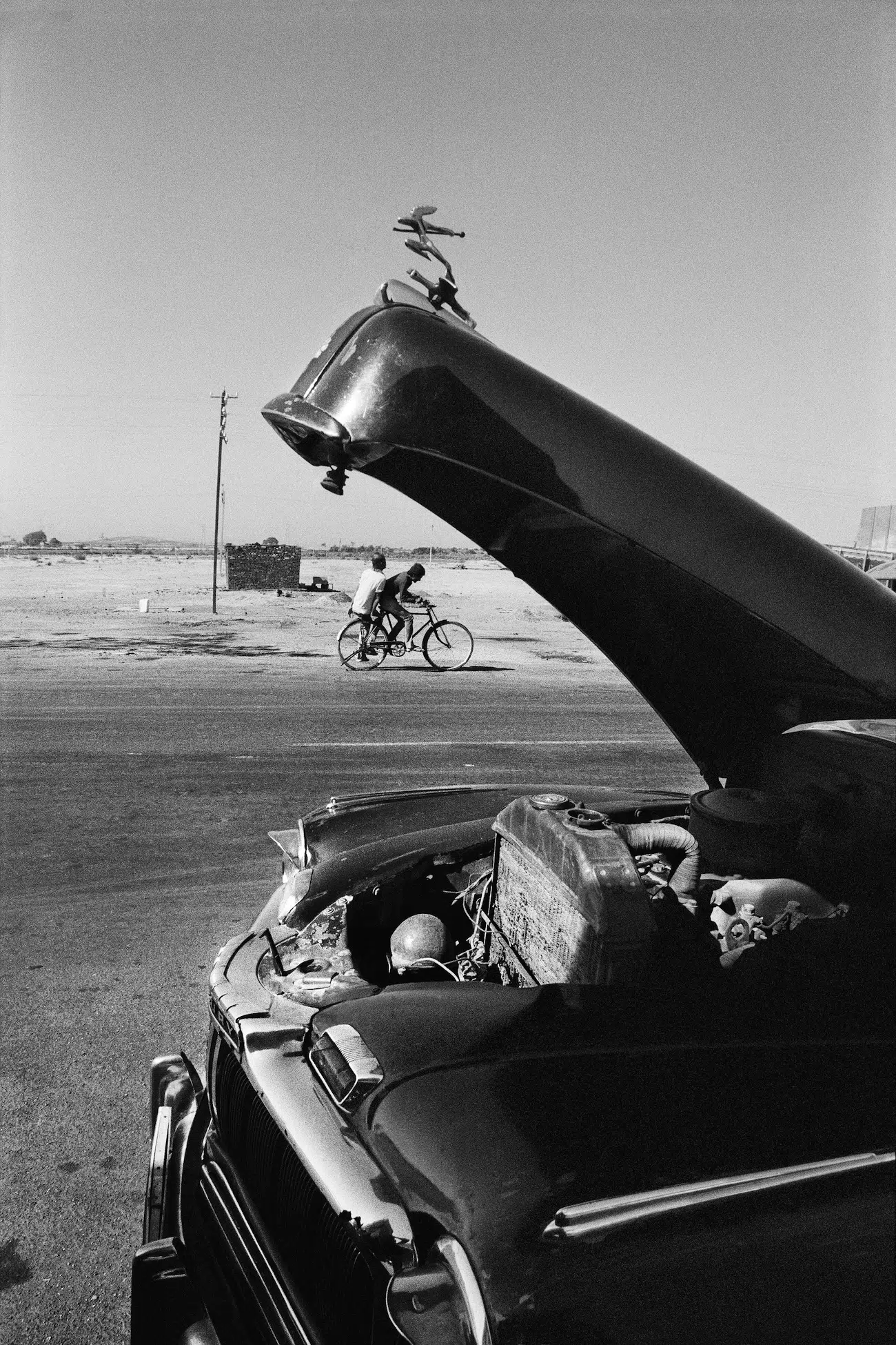 2025 Winners of the World's Longest-Running Photo Prize