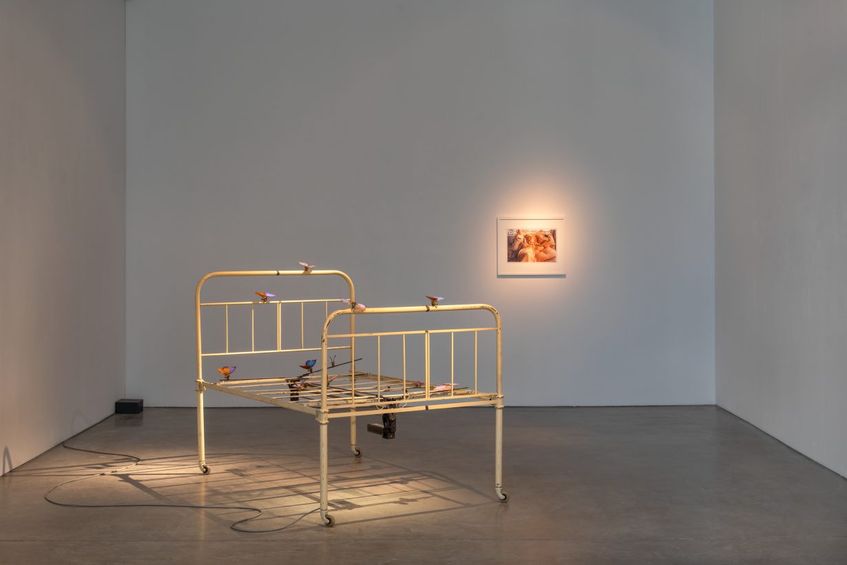 A bed frame in a white room