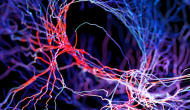 A Natural Molecule May Help Clear Buildup of Alzheimer's Proteins, Study Finds : ScienceAlert