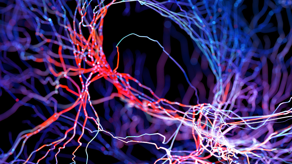 A Natural Molecule May Help Clear Buildup of Alzheimer's Proteins, Study Finds : ScienceAlert