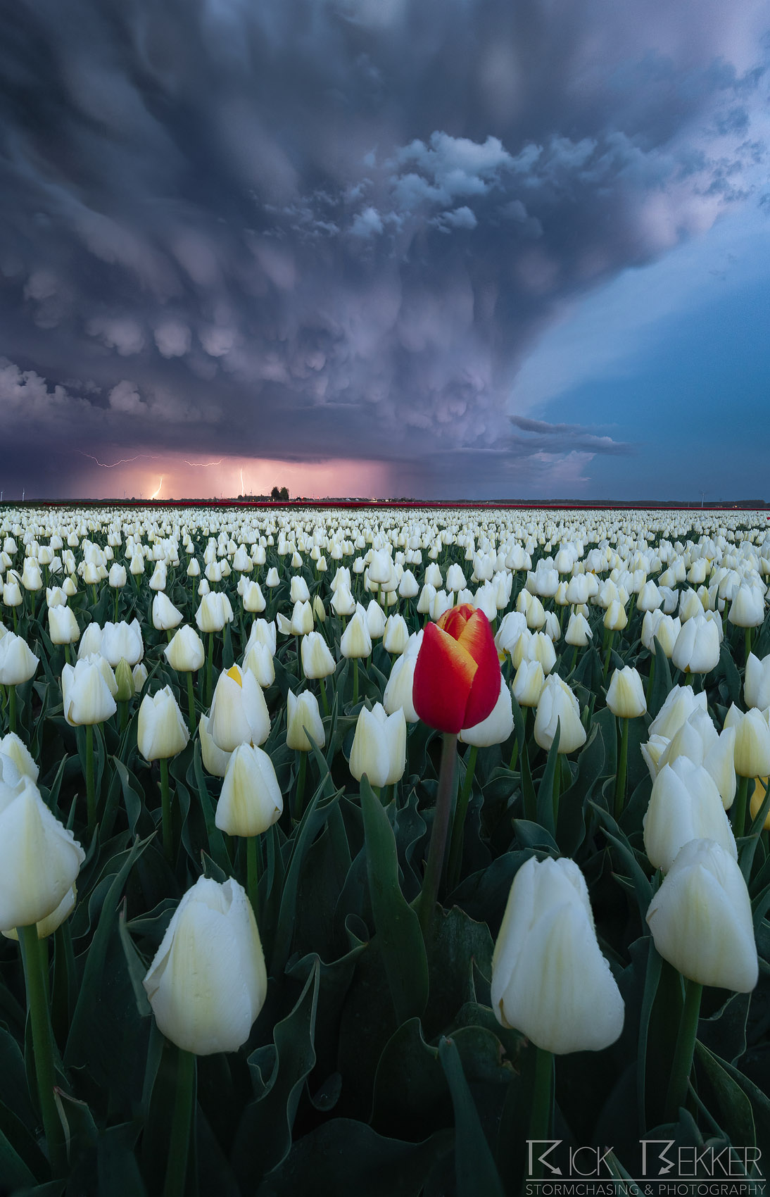 Rick-Bekker-Transition