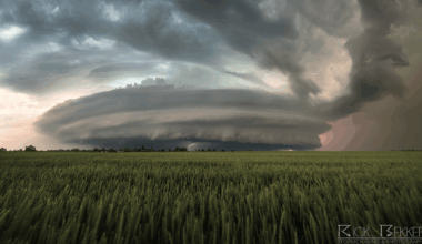 Featured Photographer in the 'Pursuit of Power' SWE Calendar (January 2026)