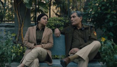 Seven Indian TV shows that resonated beyond borders in 2025