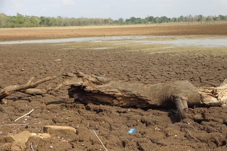 Deforestation in Chandrapur district, Maharashtra. A recent review indicates that pathways to limit global warming to 1.5°C now depend on the large-scale deployment of carbon dioxide removal. Representative image by Kunjan Mhaske via Wikimedia Commons (CC BY-SA 4.0).