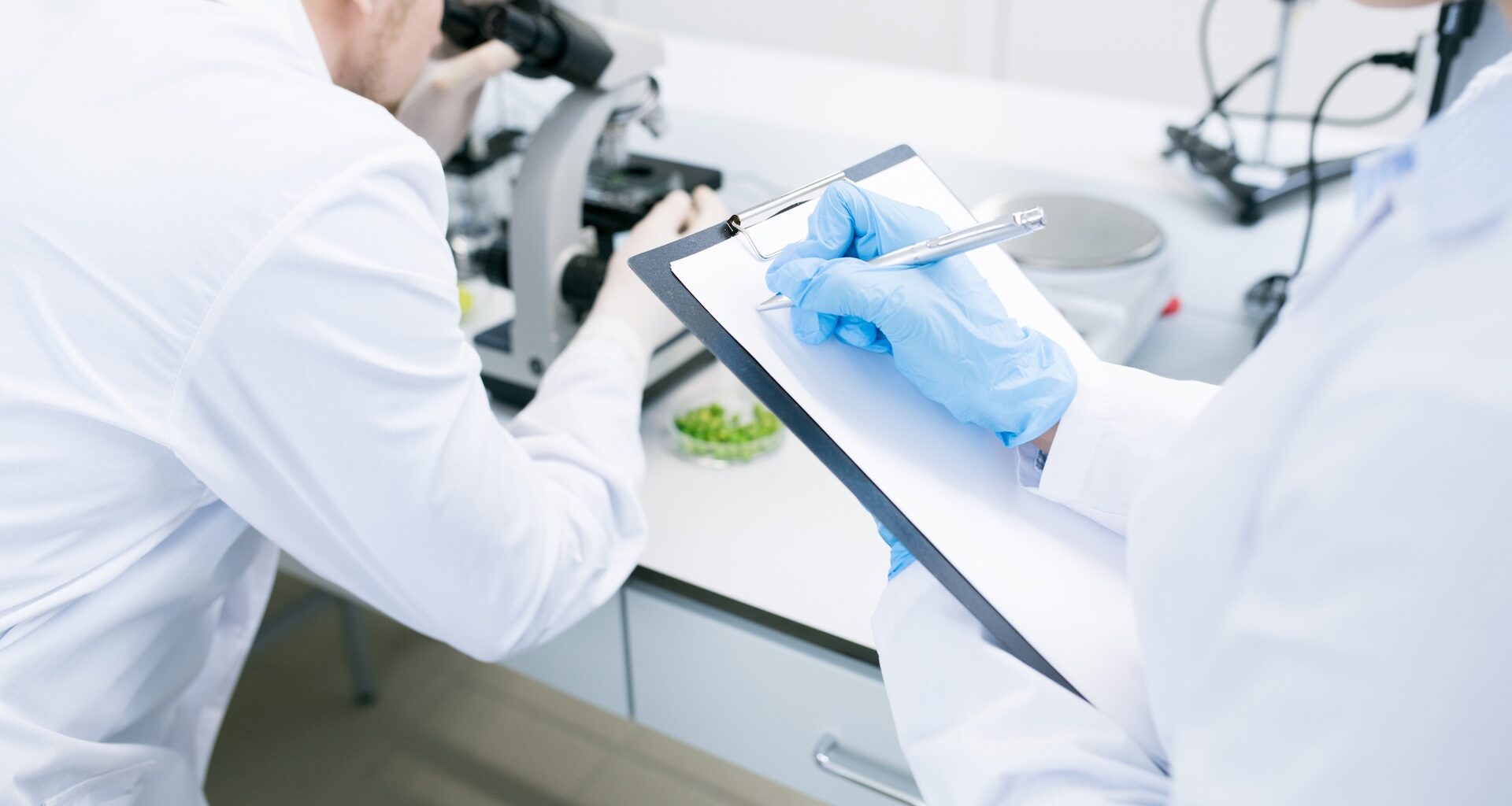 Researchers discovered that iron minerals can help break down harmful pollutants from plastic, offering hope for curbing plastic pollution.