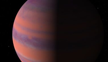 Artist depction of Kepler-167e, the Jupiter analog that might possibly have an exomoon. Credit - NASA