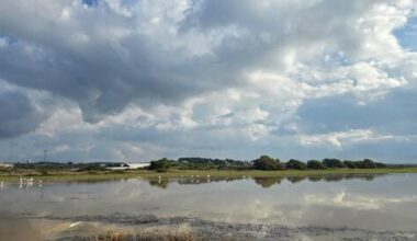 dry stretch after stormy December, with rains likely near New Year