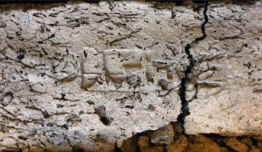 Radiocarbon Study Redraws the Timeline of Ancient Egypt’s First Pharaohs