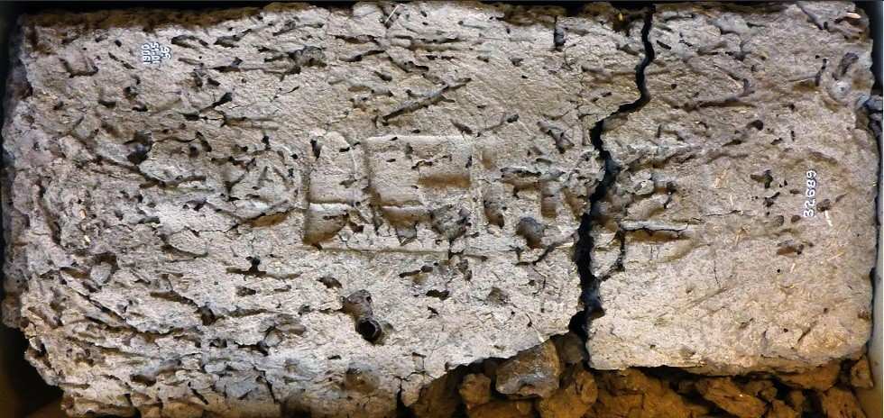 Radiocarbon Study Redraws the Timeline of Ancient Egypt’s First Pharaohs