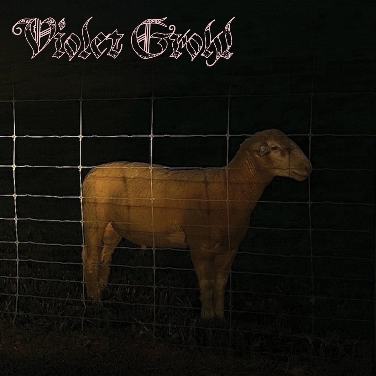 Violet Grohl THUM Applefish artwork