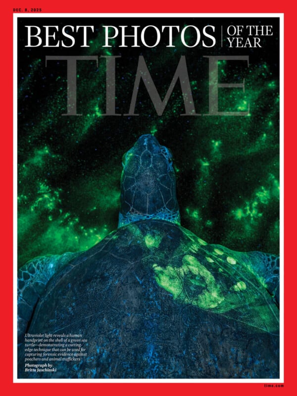 A sea turtle swims underwater, its shell and head illuminated with glowing green patterns, set against a dark, starry background. The image is featured on the "TIME Best Photos of the Year" magazine cover.