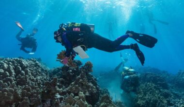 Kona coast on Big Island becoming central spot for innovative coral reef restoration : Big Island Now