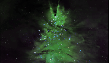 The Christmas Tree Cluster Is Lighting Up The Sky Tonight, Here’s How And When To See It!