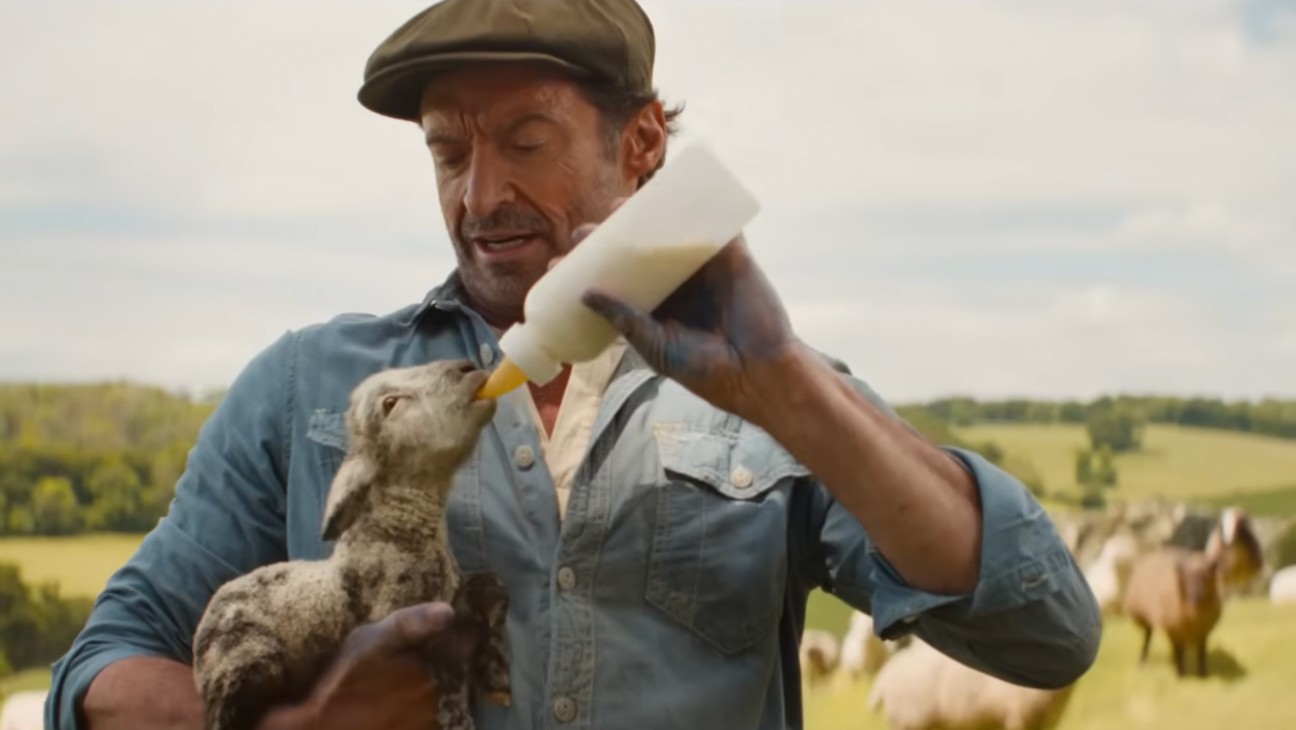 Hugh Jackman in 'The Sheep Detectives'