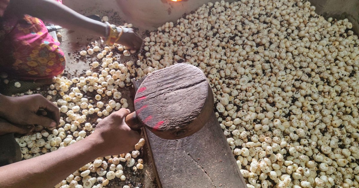 As Trump’s tariffs hit Indian fox nuts, the superfood eyes new markets | Trade War