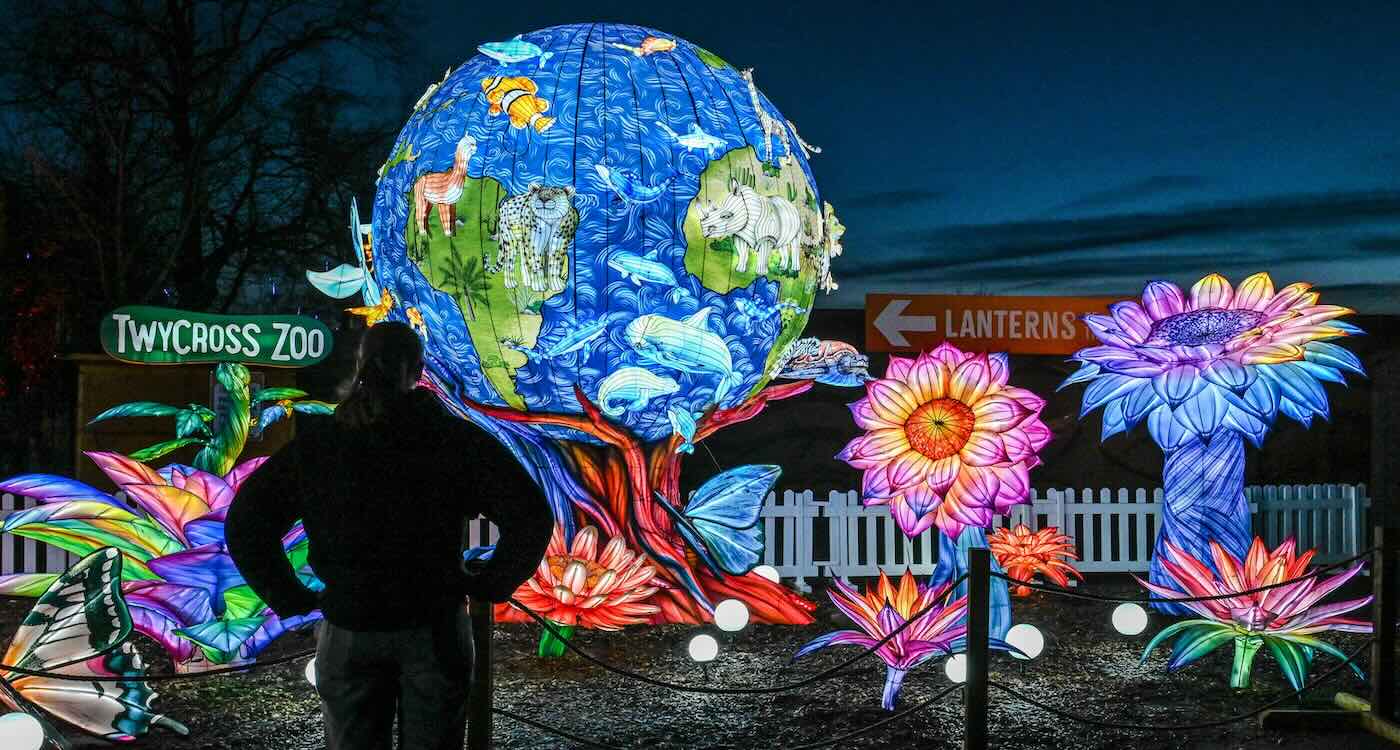 Mesmerizing Lantern Display Lights Up December With Mile-Long Homage to Wildlife