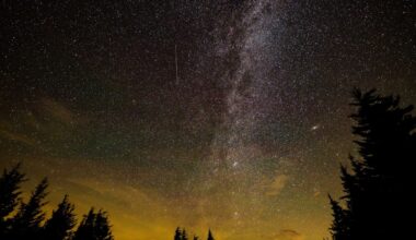 Ursid meteor shower to dazzle night sky in 2025's final celestial event