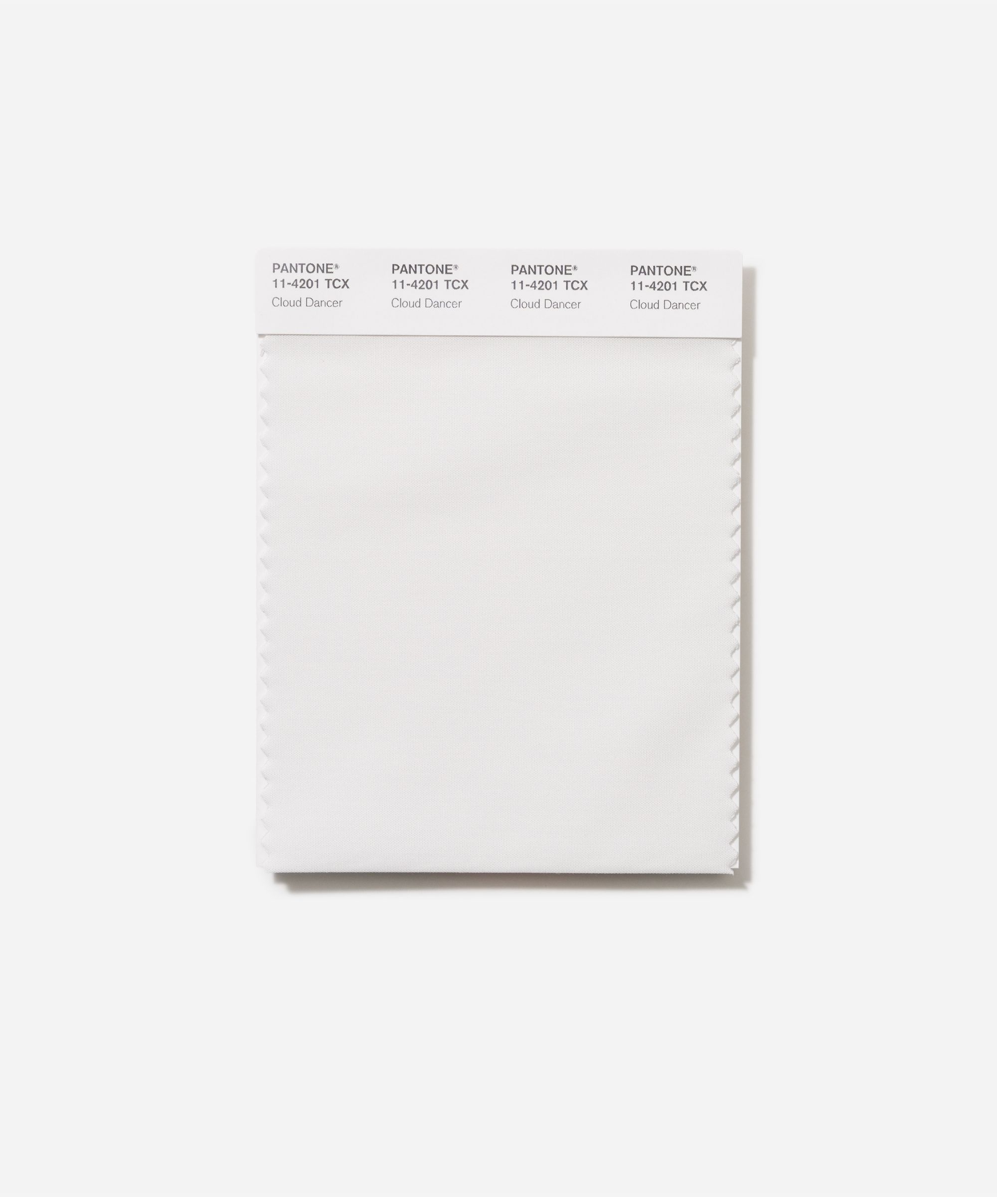 Pantone Color of the Year Cloud Dancer swatch