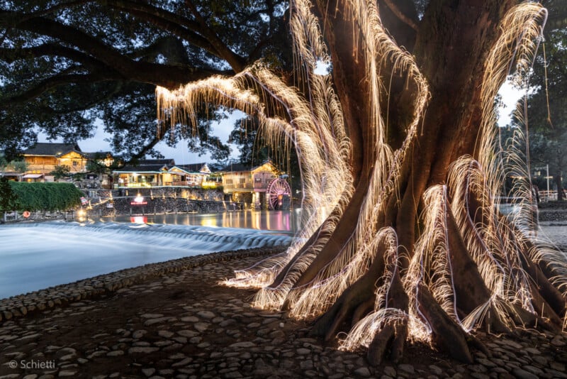 A large tree with sprawling roots is illuminated by cascading, sparkling lights at dusk, with a river and traditional buildings in the softly lit background. Long exposure creates glowing light trails around the trunk and branches.