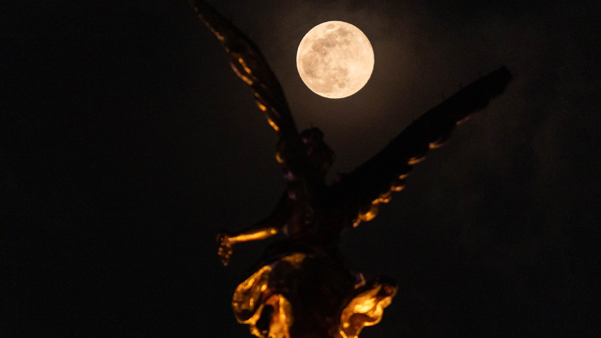 A full moon is pictured rising in a black night sky between the wings of an angel statue, which has been artfully positioned in the foreground.