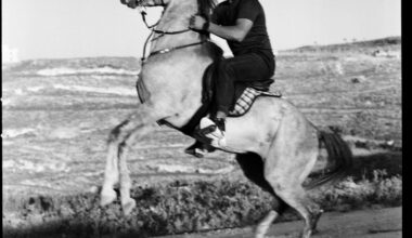 An exhibition of Palestinian photographers visualises the lasting significance of ‘land’