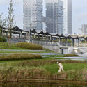 A Reborn Scenic Field Above Waves / TJAD Original Design Studio - Exterior Photography
