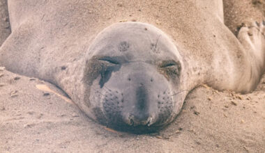 Yahoo entertainment home