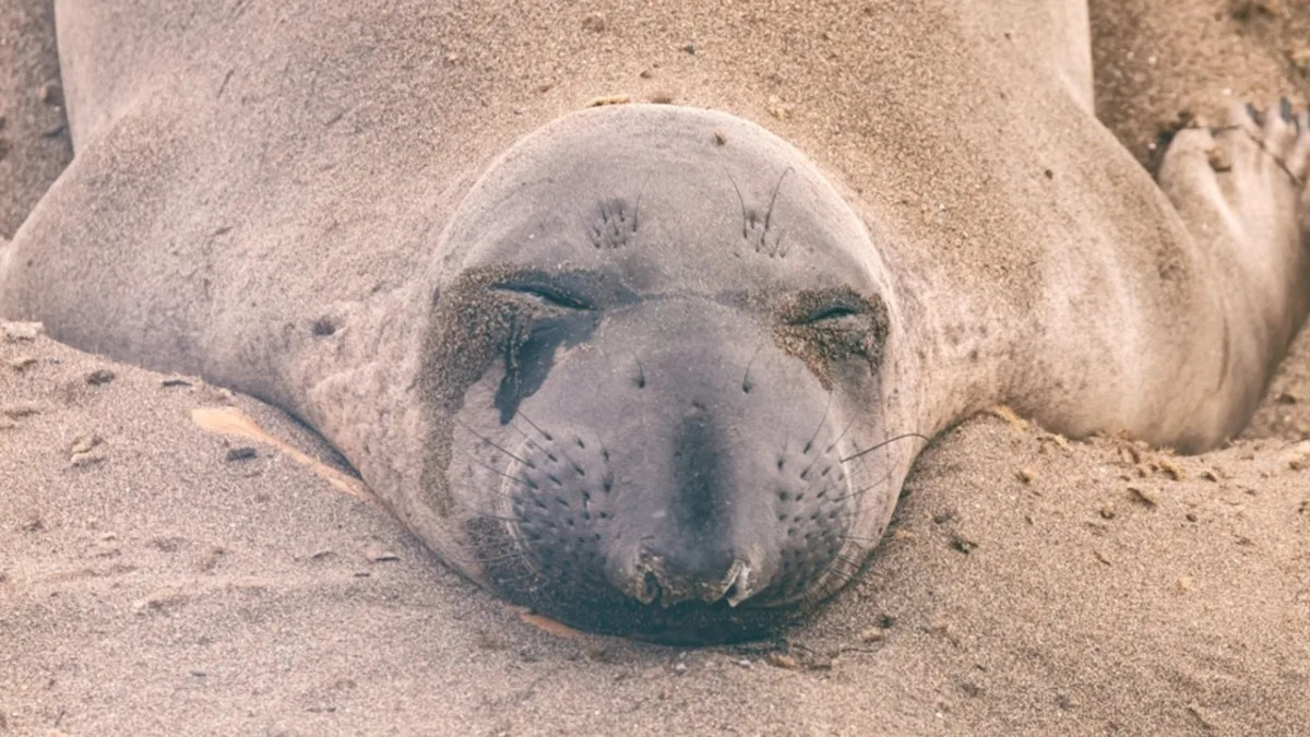 Yahoo entertainment home