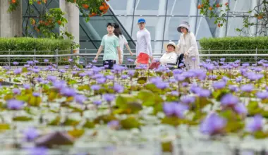 When SME owners delay succession planning, their business and family pay the price