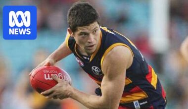 Insolvent business run by former AFL star wipes its debt of millions, and the taxpayer is left to foot the bill