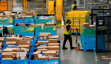 Record shoppers, online sales surge signal strong US holiday season momentum