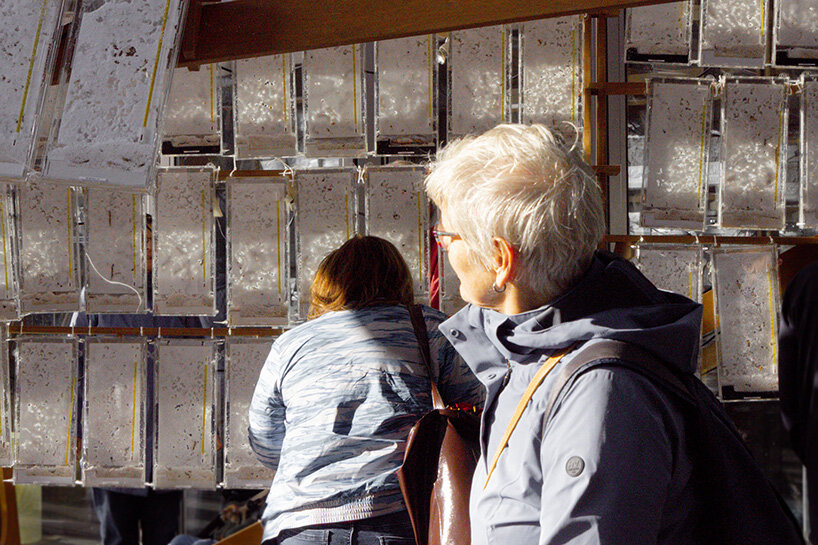 aditya mandlik on how decomposition becomes design method in worm-driven architecture