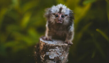 Yahoo lifestyle home