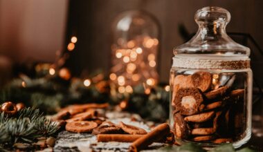 Only the Good Stuff: Multivitamins For Your Weekend {12.20.2025}