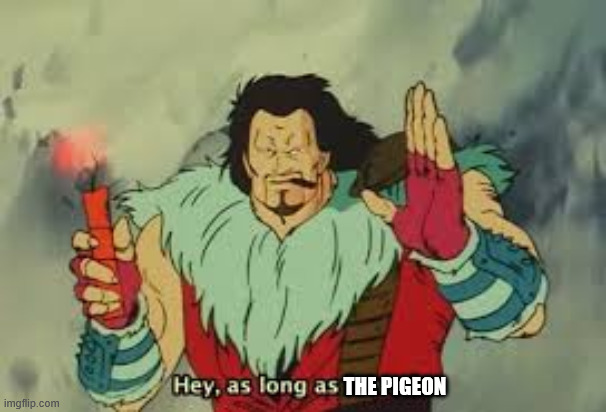 as long as the pigeon