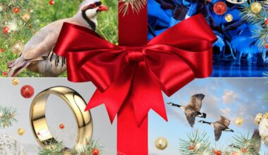 The Full Price Of The '12 Days of Christmas' Gifts in 2025