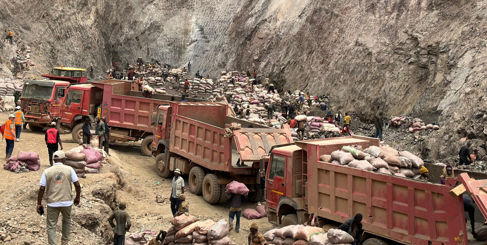 The hidden toll of green energy