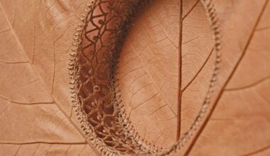 A detail of a composition by Susanna Bauer of two plane tree leaves stitched layered on top of one another and stitched together