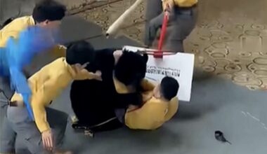 Bear Attacks Trainer and Tackles Him to the Ground in Front of Shocked Crowd