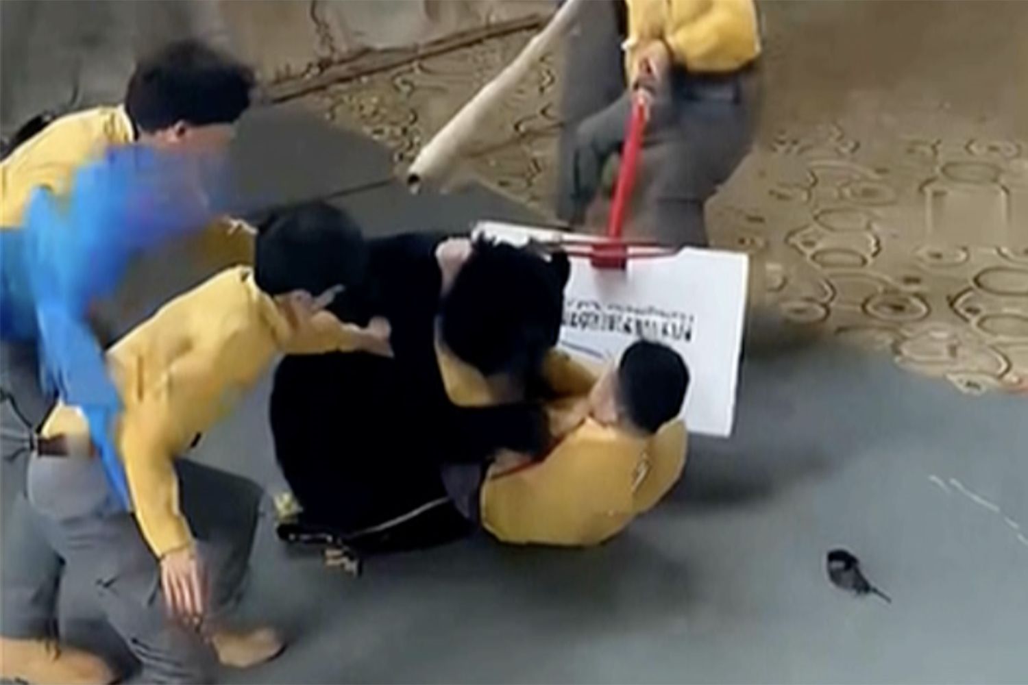 Bear Attacks Trainer and Tackles Him to the Ground in Front of Shocked Crowd