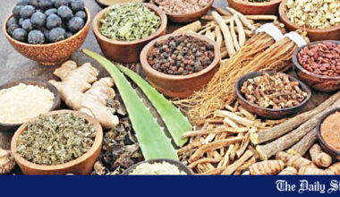 Ayurvedic medicine Bangladesh | Bangladesh’s untapped goldmine: Why Bangladesh is missing the ayurvedic market boom
