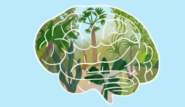 Are you doing enough to keep your brain healthy? — Harvard Gazette