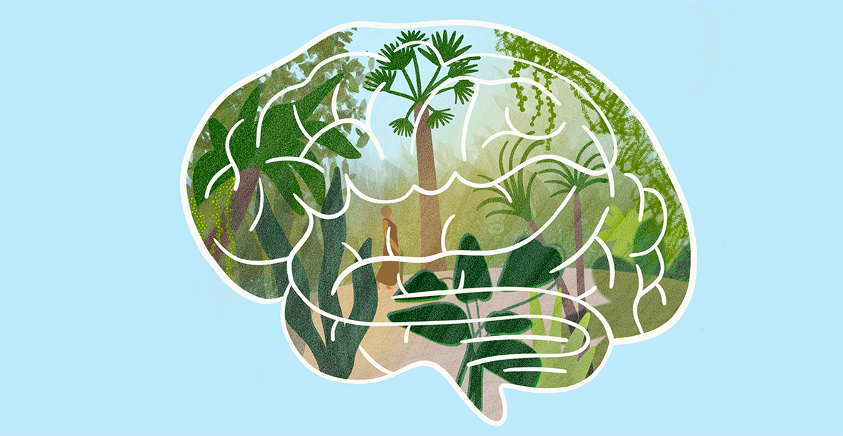 Are you doing enough to keep your brain healthy? — Harvard Gazette