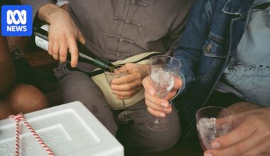 Australians are drinking less, but one cohort won't give up the booze