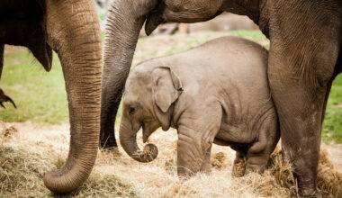 Yahoo lifestyle home