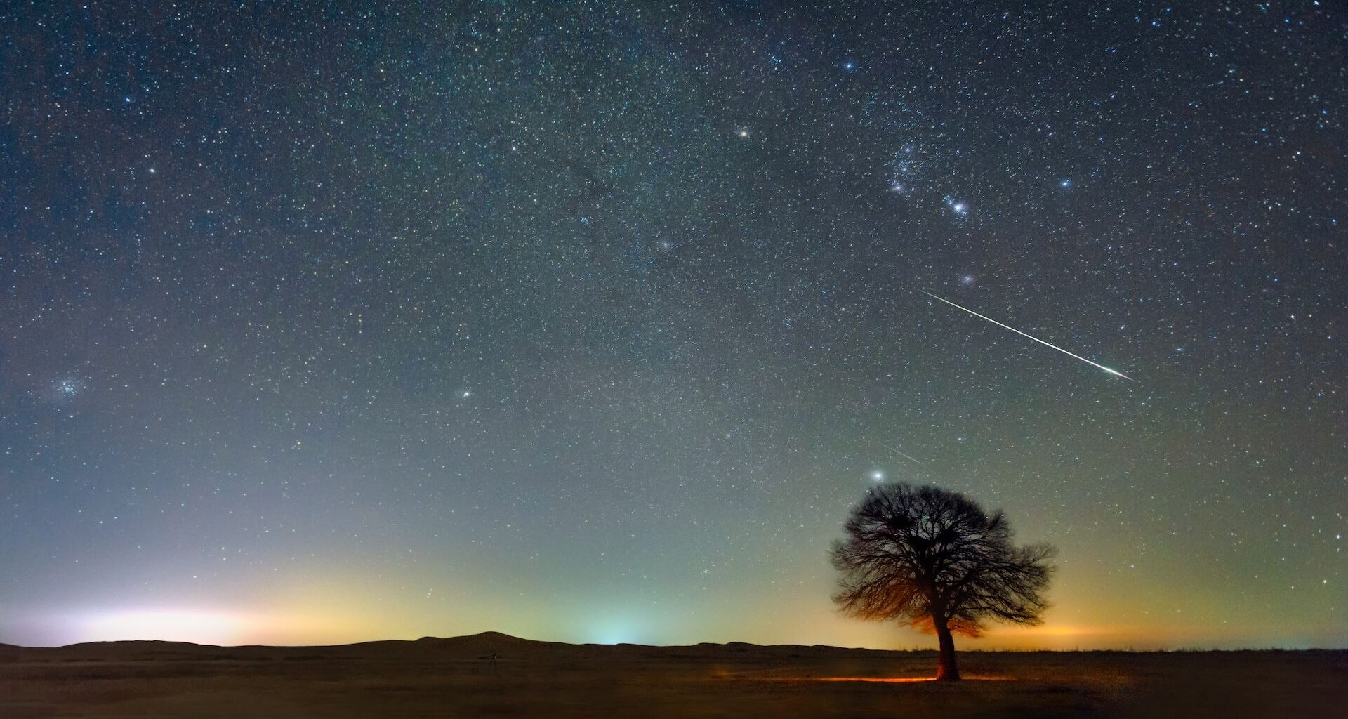 Nighttime image of a field with a silhouette of a tree. The night sky takes up most of the image, full of stars and a meteor can be seen shooting down on the right side.